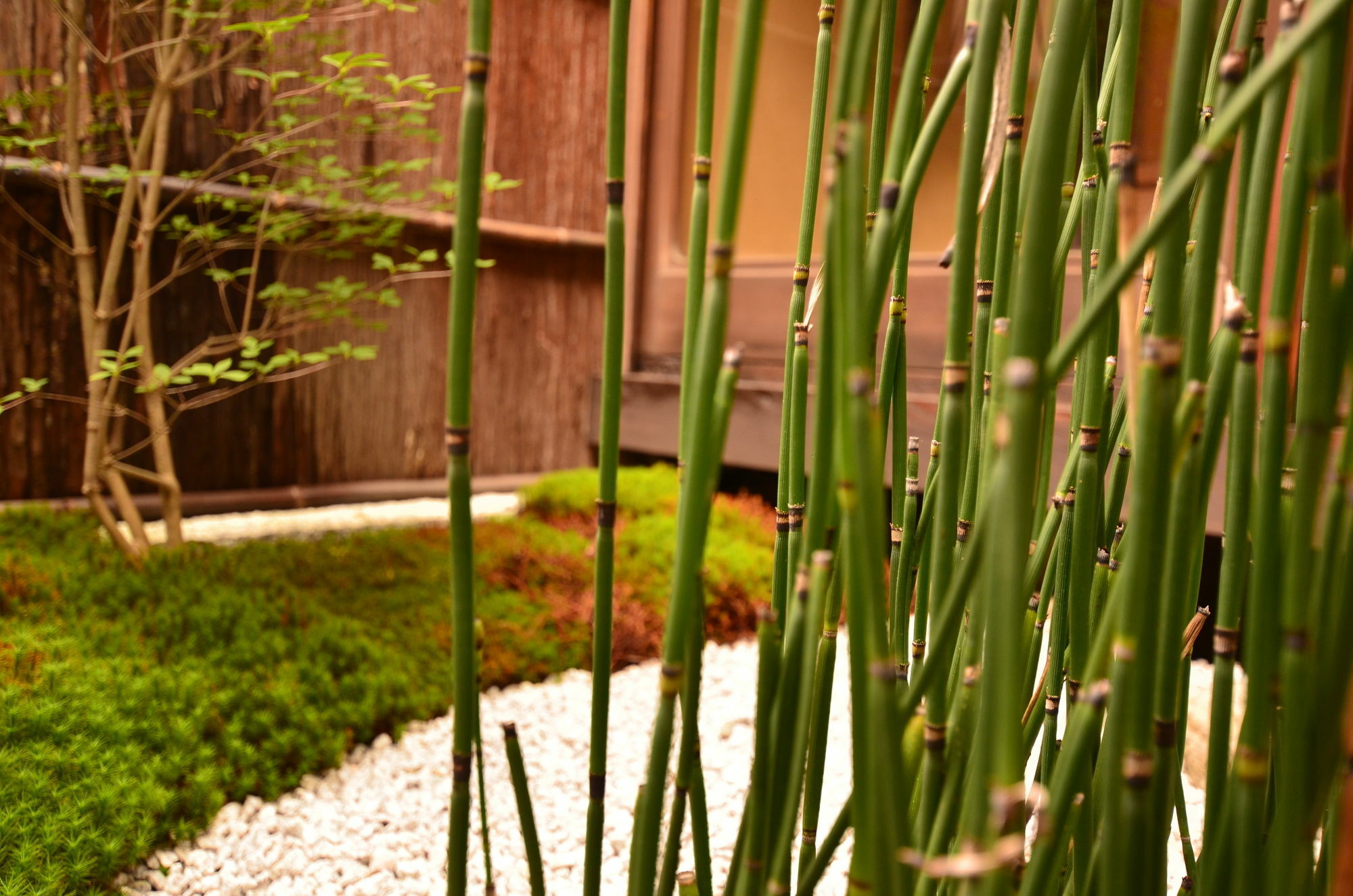 Grateful Hotel Kyoto Buitenkant foto